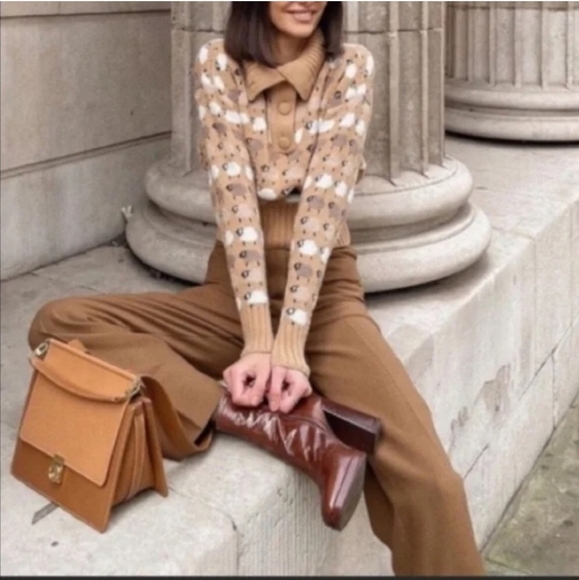 Zara Sheep Lamb Print Collared Sweater Size S Tan Blogger Favorite - Picture 2 of 5